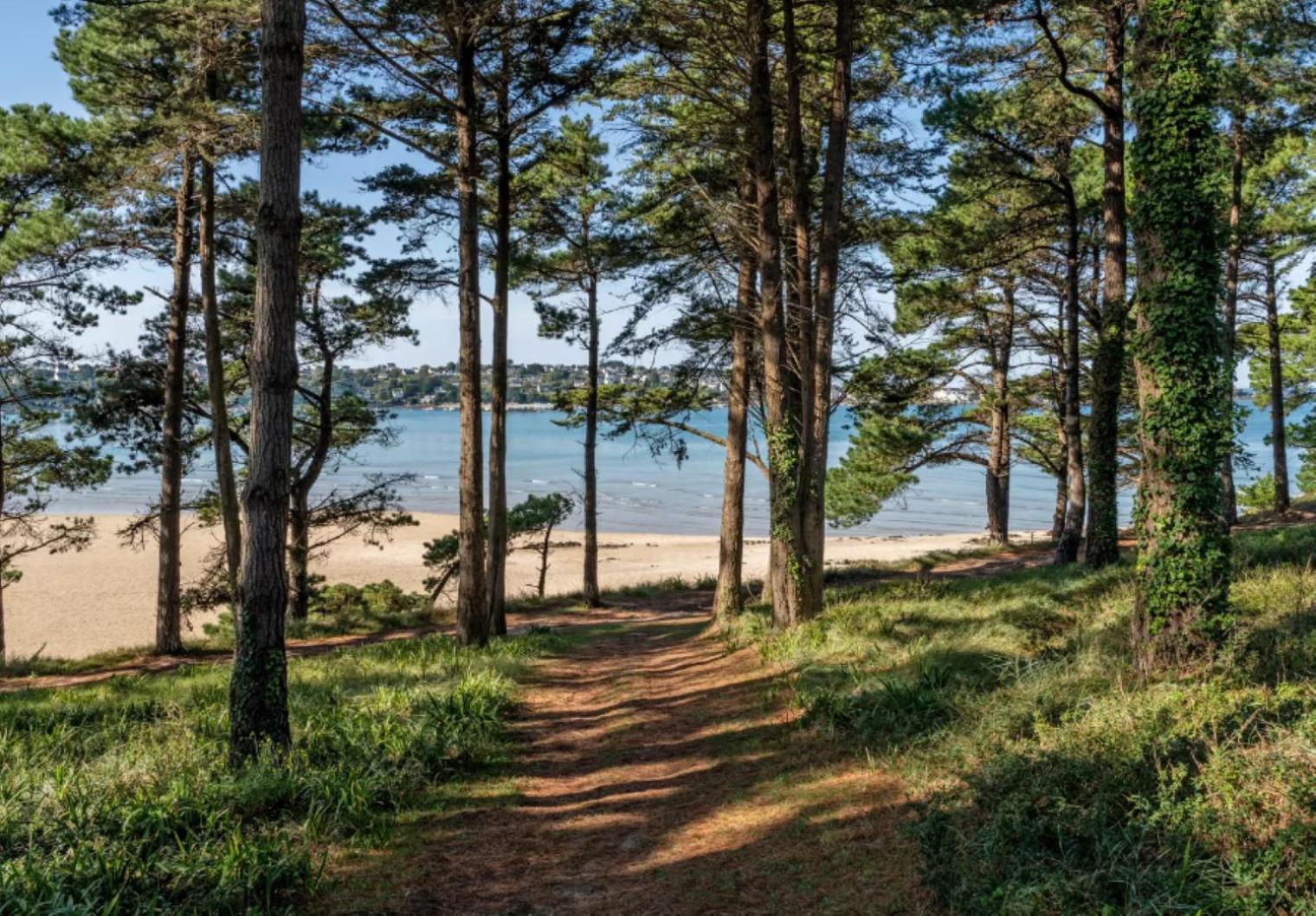 Résidence route de la corniche vue mer Plestin-les-Grèves Extérieur photo